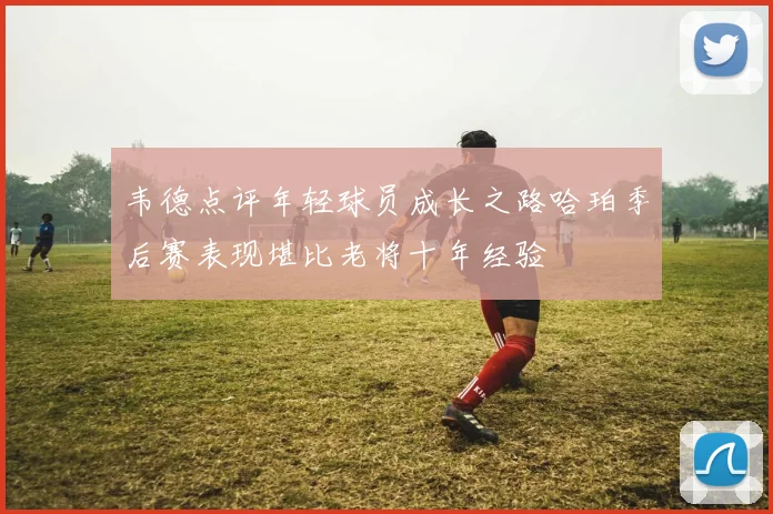 韦德点评年轻球员成长之路哈珀季后赛表现堪比老将十年经验